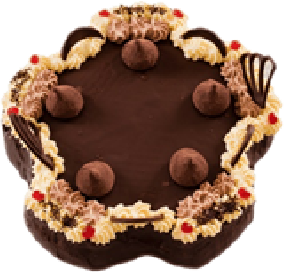 DS_06_Kvet_cokoladovy.png